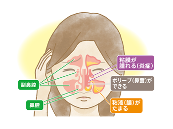 最新コンテンツイメージ